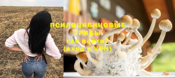 первитин Верея